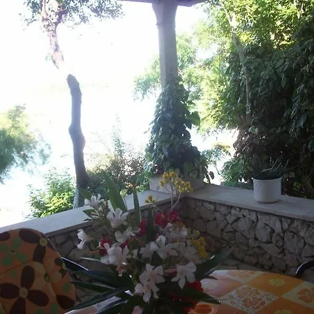 Apartments Tomovic Lumbarda Room photo
