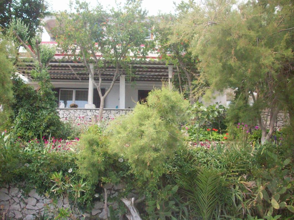 Apartment Tomovic