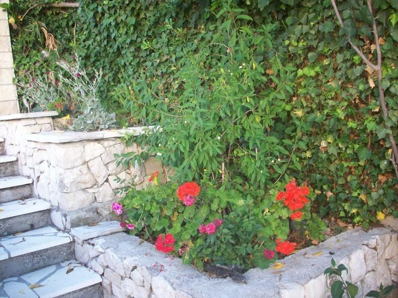 Tomovic Apartment