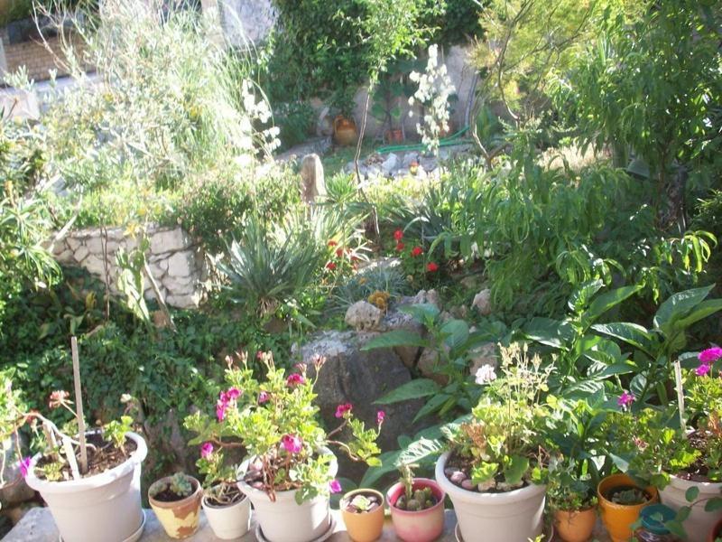 Tomovic Apartment Lumbarda