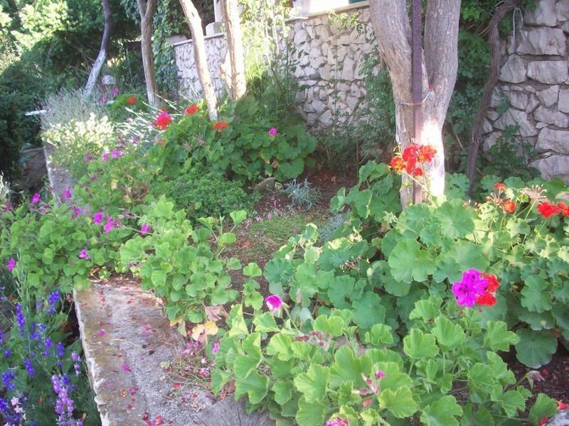 Tomovic Apartment Lumbarda